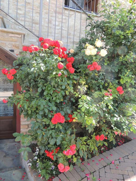 Da Fabiana Bed and Breakfast Bossolasco Buitenkant foto