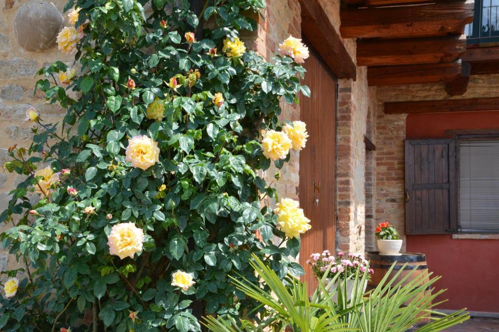 Da Fabiana Bed and Breakfast Bossolasco Buitenkant foto