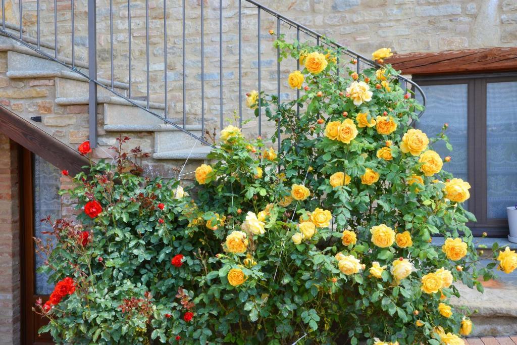 Da Fabiana Bed and Breakfast Bossolasco Buitenkant foto